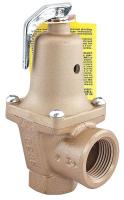 26X153 Safety Relief Valve, 1 x 1-1/4 In, 75 psi