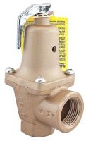 26X160 Safety Relief Valve, 2 x 2-1/2 In, 50 psi