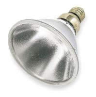 2CUZ9 Halogen Spotlight, PAR38, 45/40W, PK6