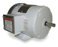 2DAK8 Washdown Motor, 3 Ph, TEFC, 3/4 HP, 1725 rpm