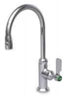 2DCH4 Laboratory Faucet, Chrome Finish, 2.6 GPM