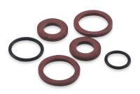 2DCW8 Hose Seal Kit, For Use w/2TGZ2