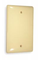 2EAW5 Wall Plate, Blank, 1Gang, Ivory