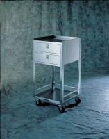 2EJH6 Equipment Stand, 300 Lb, Stainless Steel