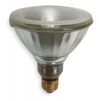 2F109 Ceramic Metal Halide Lamp, PAR38, 100W