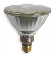 2F111 Ceramic Metal Halide Lamp, PAR38, 100W