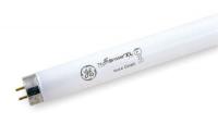 2F966 Fluorescent Lamp, T8, Very Cool, 5000K