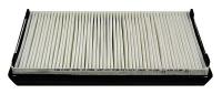 2FBA9 Air Filter Element, Cabin