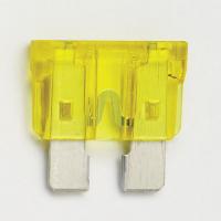 2FCZ2 Fuse, Auto, 257, 20A, 32VDC, Plastic