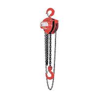 2FTB6 LHH Hand Chain Hoist, 1/2T, 10Ft Lift