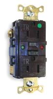 2GLY8 GFCI Receptacle, 15A, Hospital, AutoGrd, Brn