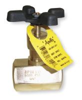 2GMZ8 Globe Valve, 1/2 In., FNPT, Brass