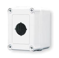 2HRW1 Enclosure, Push Button, 22mm, 1Hole