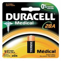2HYL2 Battery, 28A, Alkaline, 6V
