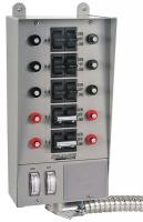 2KEP6 Manual Transfer Switch, 60A, 125/250V