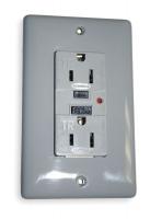 2KWK4 GFCI Receptacle, 15A, Industrial, Gray