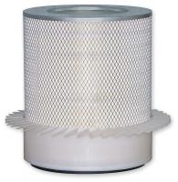 4ZWG2 Air Filter, Element/Outer, PA2961-FN