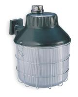 2LBL6 Security/Area Lighting, MH, Watts 100