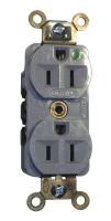 2LBX2 Receptacle, Illuminated, 5-15R, 125V, Gray
