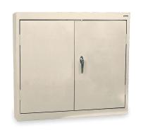 2LHU6 Wall Mount Cabinet, Welded, Beige