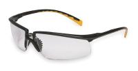 2LUV9 Safety Glasses, Indoor/Outdoor, Antifog