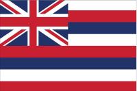 2NEJ2 Hawaii State Flag, 3x5 Ft