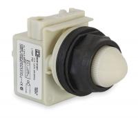 2NMG1 Pilot Light, 30mm, Plastic, White, 120VAC