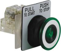 2NMK9 Push Button, 30mm, Green, Plastic, 1NO/1NC