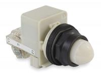 2NMP5 Pilot Light, 30mm, Plastic, White, 120VAC