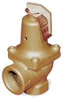 4P948 Safety Relief Valve, 1 In, 30 psi, Bronze