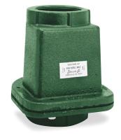 2P845 Check Valve, 2 In, FNPT, Cast Iron