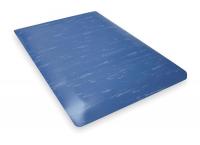 2RPP4 Antimicrobial Mat, 2 x 3 Ft, Blue
