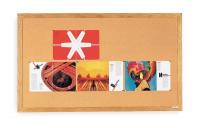 2RXL2 Bulletin Board, Cork, 48H x 96W In
