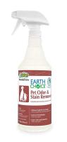 2TEE9 Spot and Stain Remover, 32 oz., PK 12