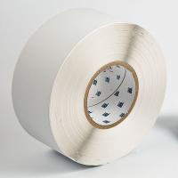 2TYW6 Labels, Polyester, 3 In. W