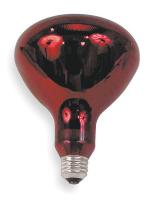 2V294 Incand Reflector Heat Lamp, R40, 250W
