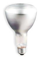 2V661 Incandescent Floodlight, ER30, 50W