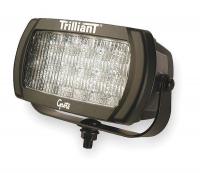 2VPG3 Flood Lamp, LED, High Output, Clear