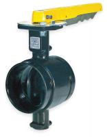 2XFD6 Butterfly Valve, Grooved, 3 In, Iron