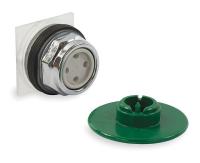 2XVU4 Push Button, 30mm, Green, Metal, Mushroom