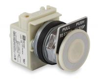 2XVX1 Push Button, Illum, 30mm, White, Mushroom