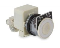 2XVX2 Push Button, Illuminated, 30mm, White