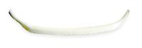 2YAX5 Eyewear Retainer, Wht, 15-1/8 In, PlstrNprn