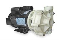 2YEU2 Centrifugal Pump, 2 HP, 1 Ph, 115/208-230V