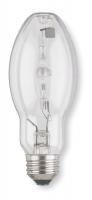 2YGE9 Metal Halide Lamp, ED17, 175W