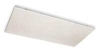 2YU56 Radiant Ceiling Heater, 277V, 2560 BtuH