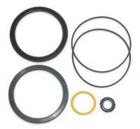 2ZB73 Cylinder Repair Kit, Cushioned, 2 In Bore