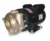 2ZWT2 Pump, Centrifugal, 1 1/2 HP, 1 Ph, 115/230V