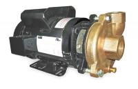 2ZWT6 Pump, Centrifugal, 3 HP, 1 Ph, 230V