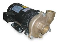 2ZWT7 Pump, Centrifugal, 3 HP, 3 Ph, 230/460V